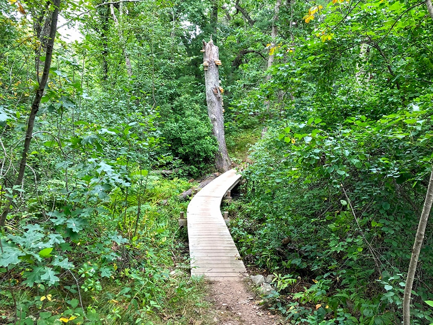 willowdale mountain biking